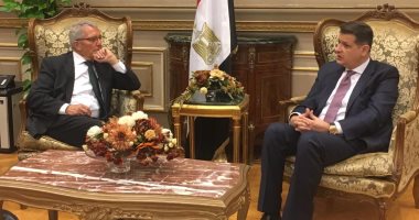 رئيس "أفريقية البرلمان" يلتقى مفوض شئون حوض النيل بالخارجية الألمانية