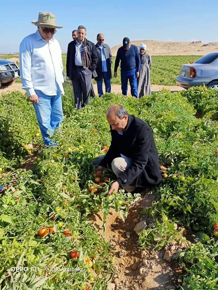 القصير بتفقد الهجن الجديدة لإنتاج تقاوي الخضر في سوهاج