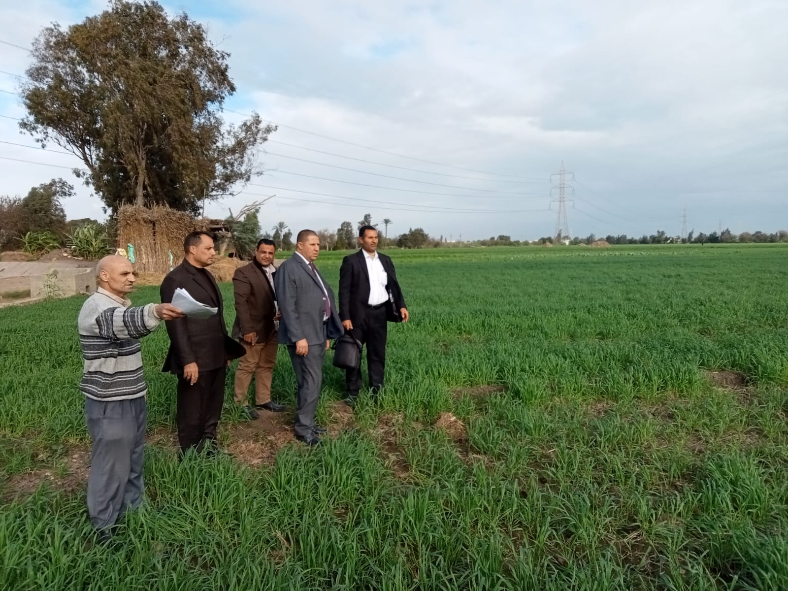 سكرتير عام البحيرة يتابع مساحات القمح المنزرعة على الطبيعة بمركز الرحمانية والقري التابعة لها