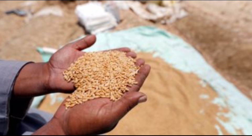 شرطة التموين..ضبط(84) قضية فى مجالات التهريب خارج منظومة القمح