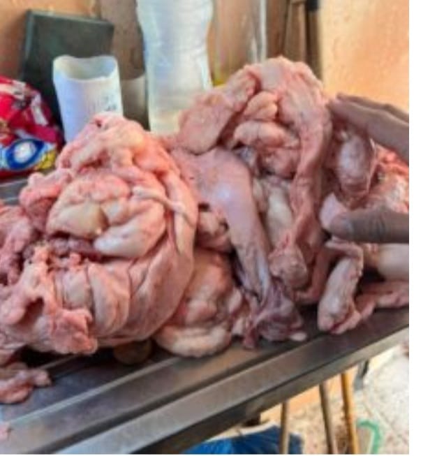 ضبط دهون واحشاء دواجن قبل فرمها حواوشي بسوهاج