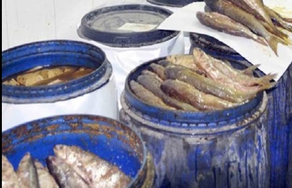 الإدارة العامة لشرطة البيئةوالمسطحات..ضبط200 كيلو جرام فسيخ وسردين مملح فاسد