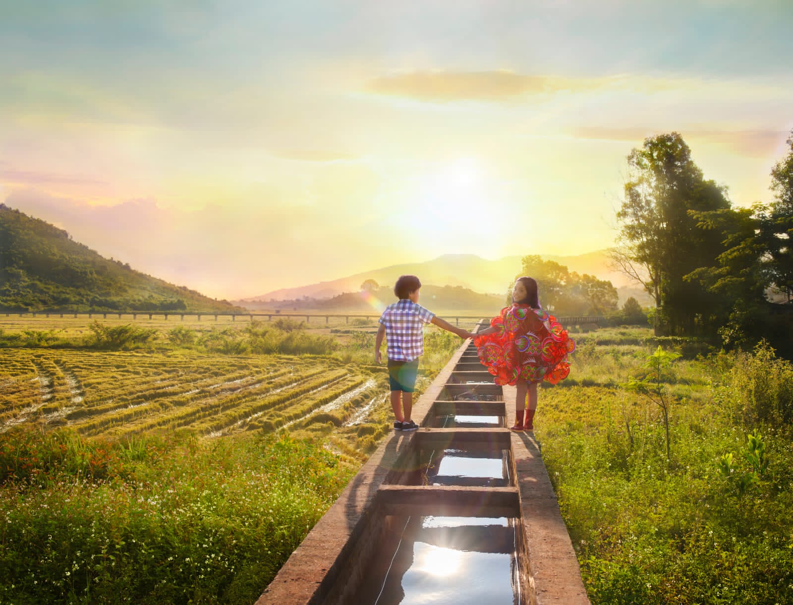 ضمن برنامج "السينما العائلية"مهرجان البحر الأحمر السينمائي الدولي يكشف عن تشكيلة الأفلام العائلية المختارة 