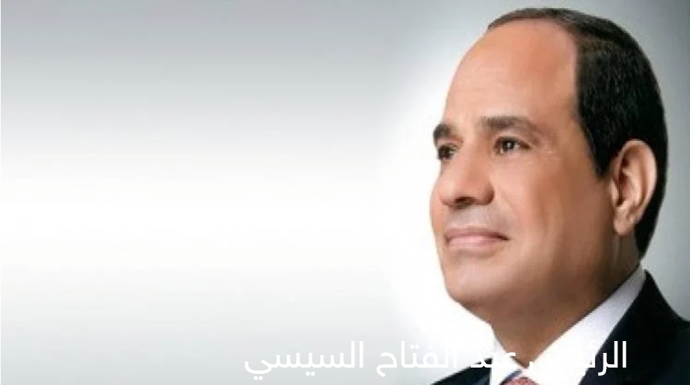 السيسي يوجه بسرعة التنسيق لاستقبال الأطفال حديثي الولادة من قطاع غزة