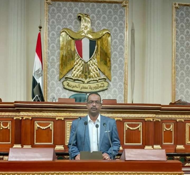 النائب على نور يتقدم بطلب إحاطة لسرعة الربط علي شبكة الكهرباء الموحدة بـ«حلايب وشلاتين»