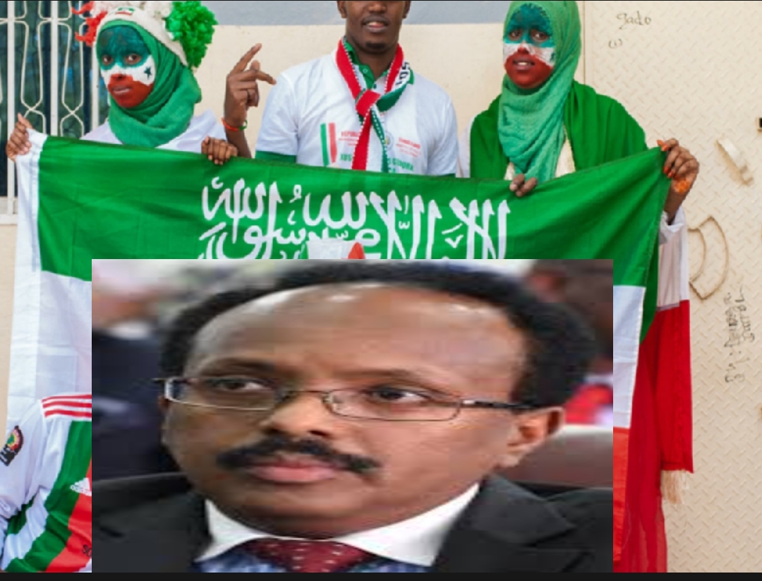 مصر تهنئ  الشعب الصومالي بإتمام الانتخابات الرئاسية فوز  "حسن شيخ محمود" بالرئاسة