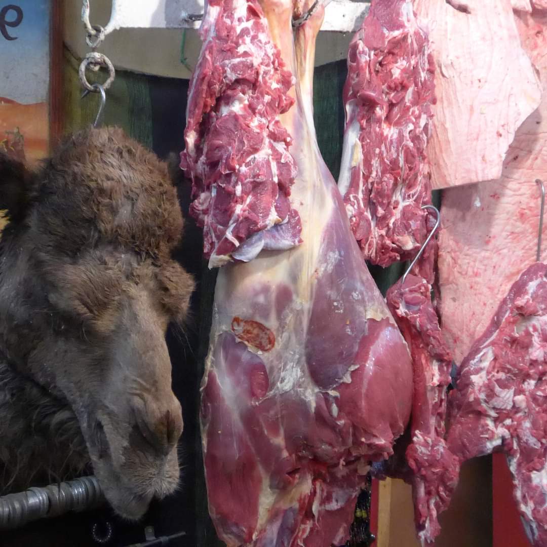 في ظل غلاء الأسعار معلومة عن اللحم الجملي ومميزاته وعيوبه