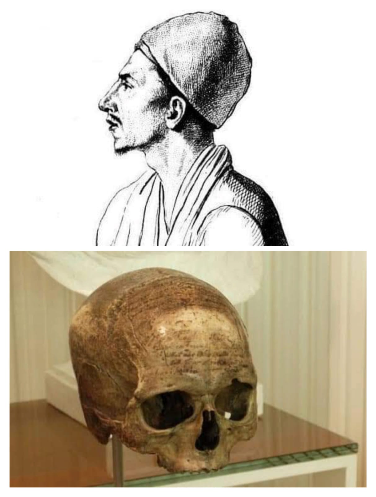 جريمة ضد الإنسانية.. قطع رقبة سليمان الحلبي بعد إعدامه لتصبح مزارا فرنسيا