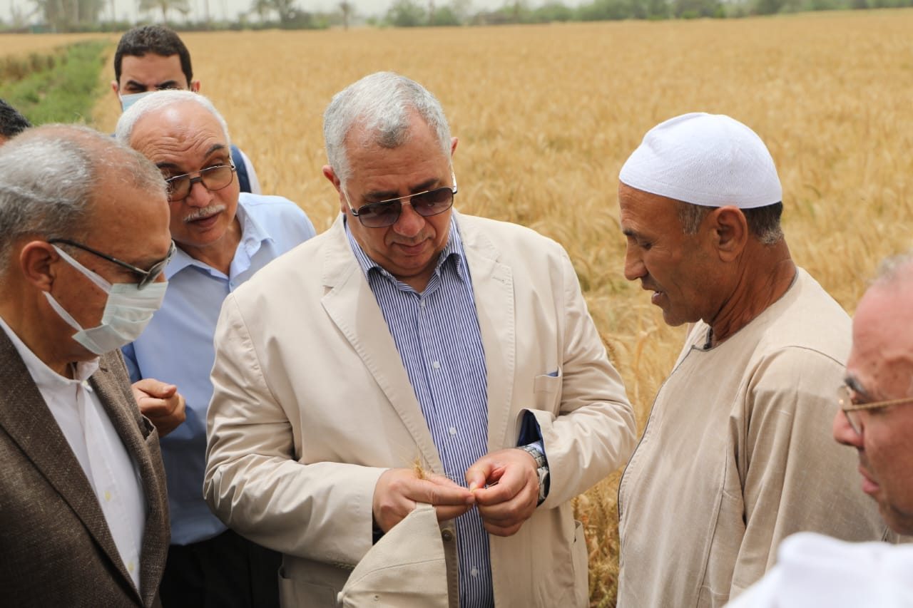 وزير الزراعة ومحافظ القليوبية يتفقدان حقول القمح بالمحافظة