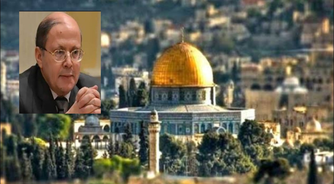 فلسطين التى ننتظرها