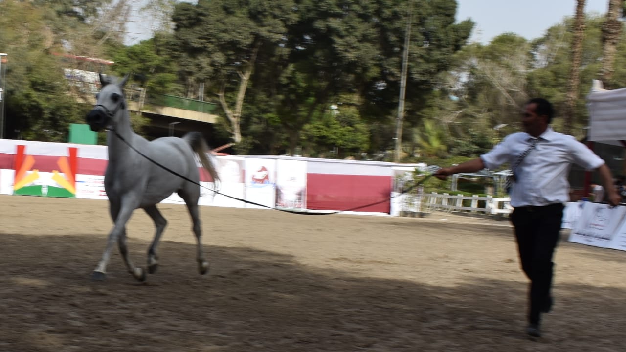 المروءة والشهامة في الإسلام والعصر الحديث