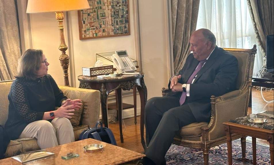 وزير الخارجية يستقبل مدير عام القوة متعددة الجنسيات