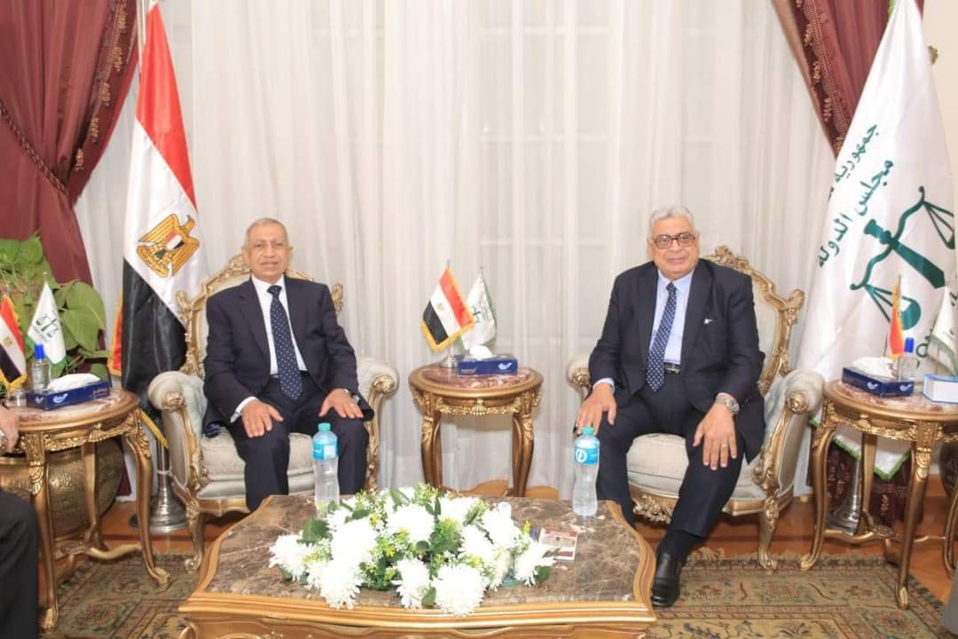 لتعزيز التعاون المشترك.. رئيس مجلس الدولة يستقبل رئيس الأكاديمية العربية