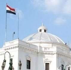 الجالية المصرية بهولندا تناقش المشهد الانتخابي وتمثيلهم في مجلس النواب   