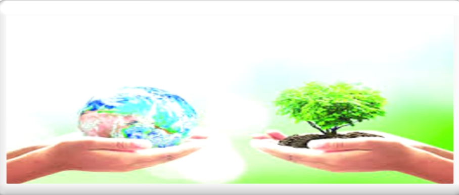 طِفْلُكَ وَالتَّرْبِيَةُ اَلْبِيئِيَّةُ