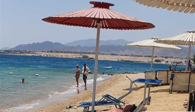 للكبار فقط «+16».. شواطئ خاصة للهدوء والاستجمام لبعض السائحين في فنادق البحر الأحمر