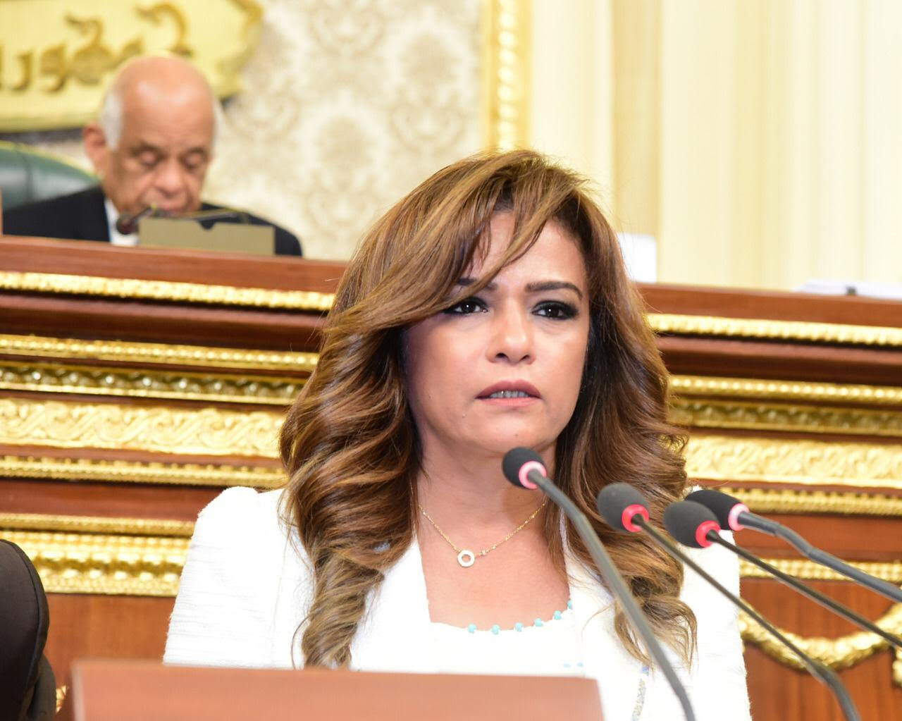 سحر طلعت تشيد باهتمام "السيسى" بتولى المراة المصرية والافريقية للمواقع القيادية