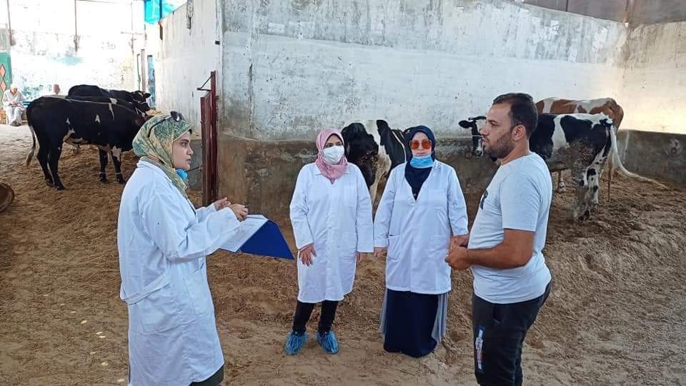 الزراعة تنفذ 90 زيارة ميدانية لأسواق المواشي والقرى والمنازل للاطمئنان على الحيوانات قبل عيد الأضحى