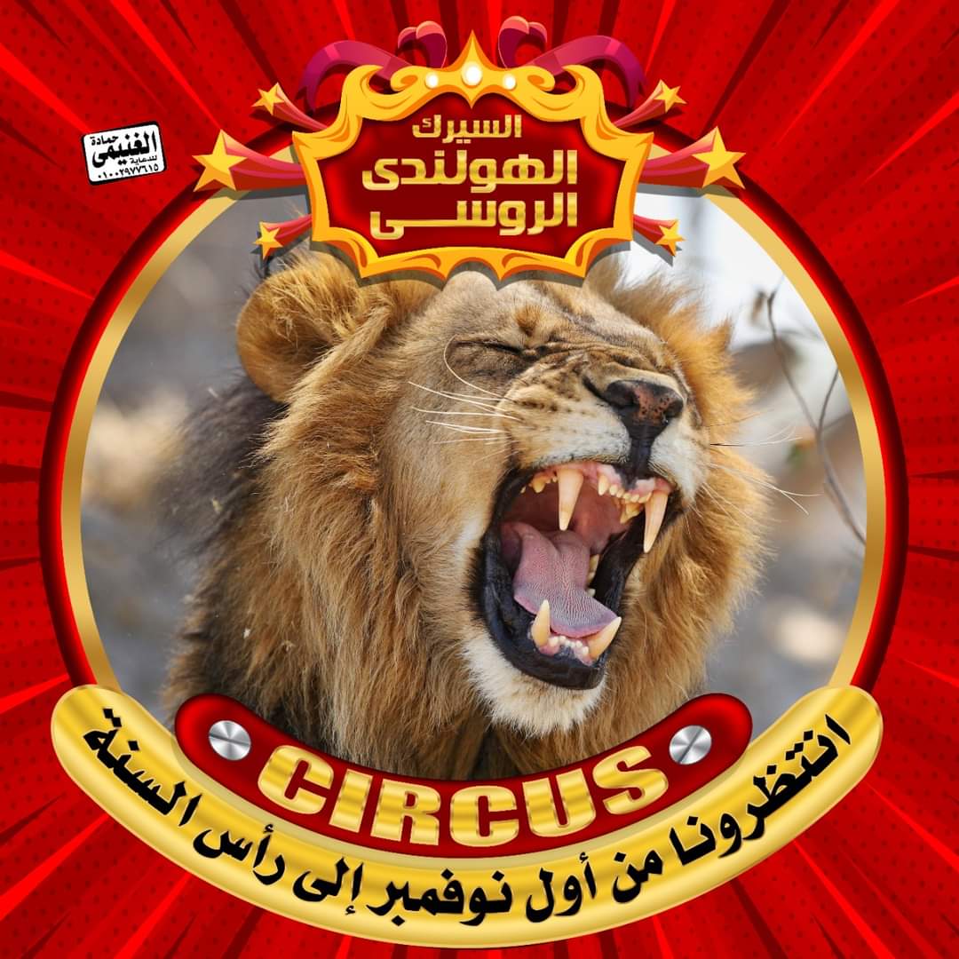 السيرك الهولندي الروسي يعود لسوهاج من جديد بفقرات جديدة ومثيرة