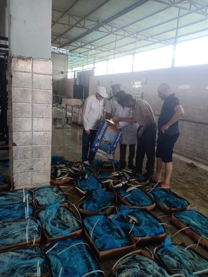 بالصور: مديرية الطب البيطري بالغربية تحرر ٩١٦ محضر تداول مواد غذائية غير صالحة للاستهلاك الأدمي