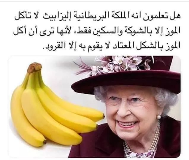 الموز والملكة وجها لوجه
