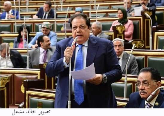 محمد أبو العينين بالنواب:مصر اختارت أن تكون دولة قوية وحققت معجزة 