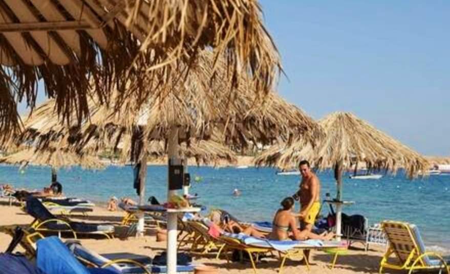 النيابة العامة تقرر حجز مساعد مدير الأغذية والمشروبات ومسئول الجـودة بالفنـدق، وكبـير الـطـهـاة فى واقعة إعياء سبعة وأربعين سائحا بفندق الغردقة