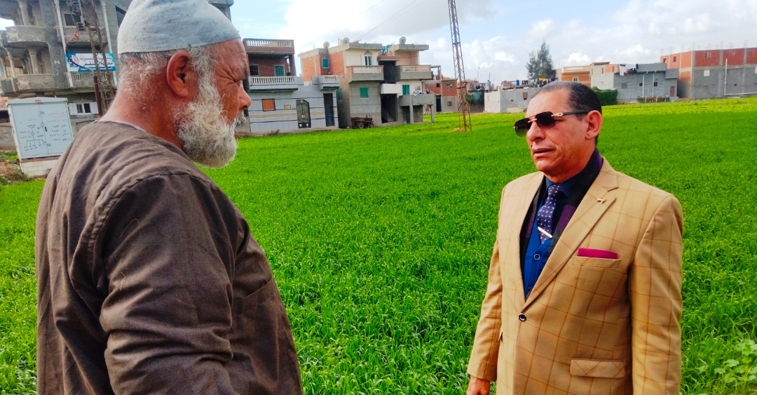 زراعة البحيرة تجتمع بالمزارعين وتأكد لهم سعر القمح 1600 ج للاردب 