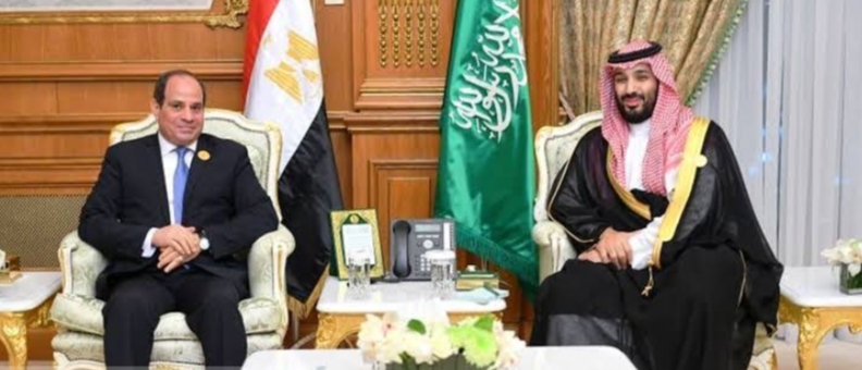 بن سلمان و السيسي يستعرضان العلاقات المشتركة ومجالات التعاون الثنائي بين البلدين