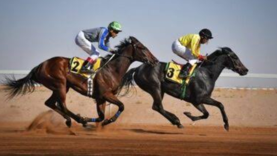 نادي سباقات الخيل يقيم غدًا أولى السباقات الكبرى على كأسَي ولي العهد