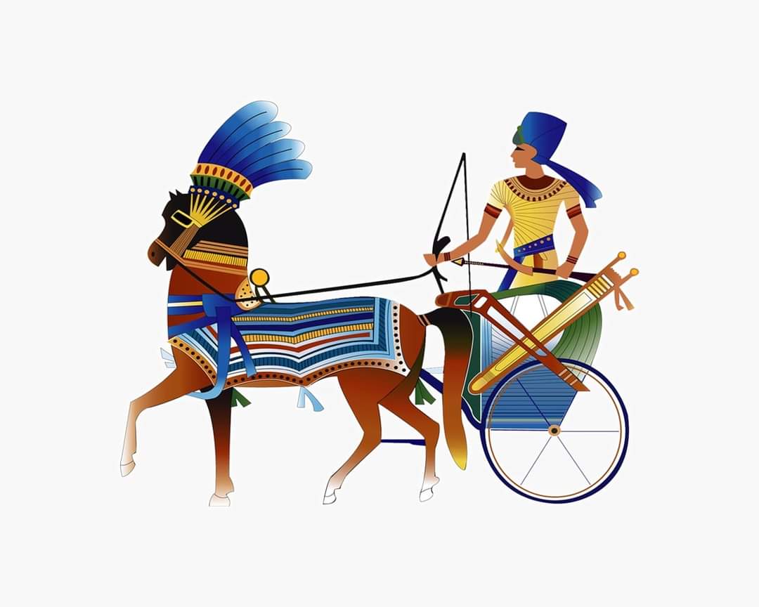 الحصاد الأسبوعي لوزارة التعاون الدولي