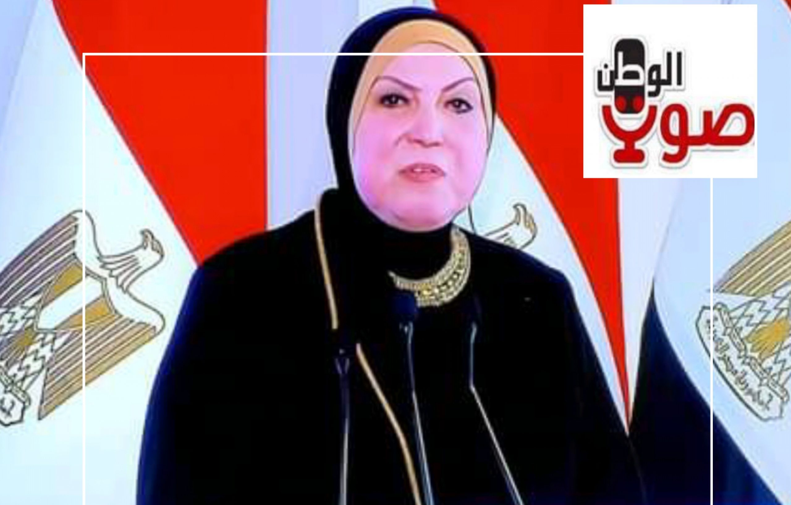 وزيرة التجارة والصناعة تستعرض أمام الرئيس السيسى خطة التنمية الصناعية المتكاملة لإقليم الصعيد   