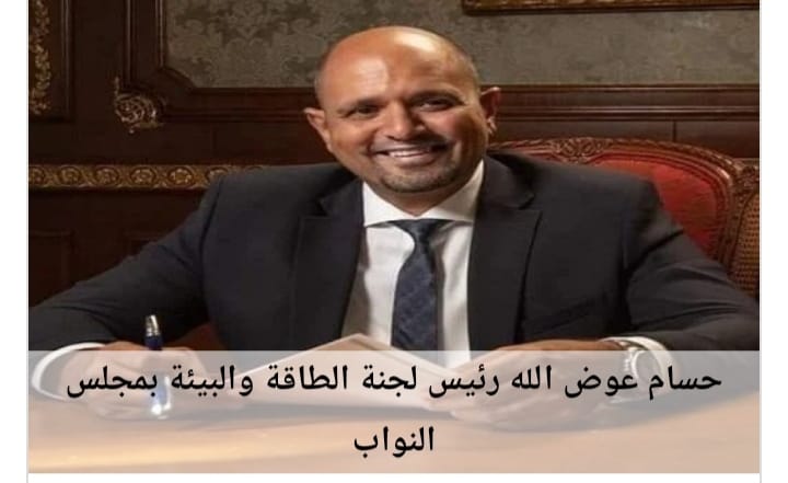 رئيس طاقة النواب: العلاقات المصرية الإماراتية نموذج يحتذى به بين دول العالم