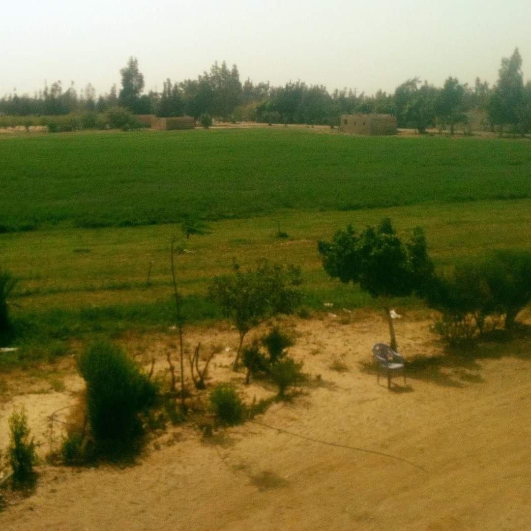 طرح 5 قطع أراض مميزة في المنيا