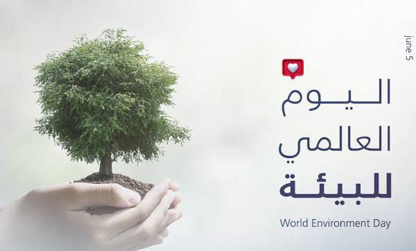 فرع جهاز شئون البيئة بالبحيرة ينظم إحتفالية وحلقة نقاشية بعنوان "لا للبلاستيك 