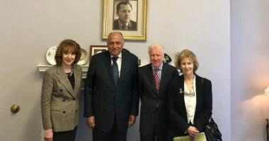 شكرى يعقد جلسة حوارية مع أعضاء معهد الشئون الدولية والأوروربية