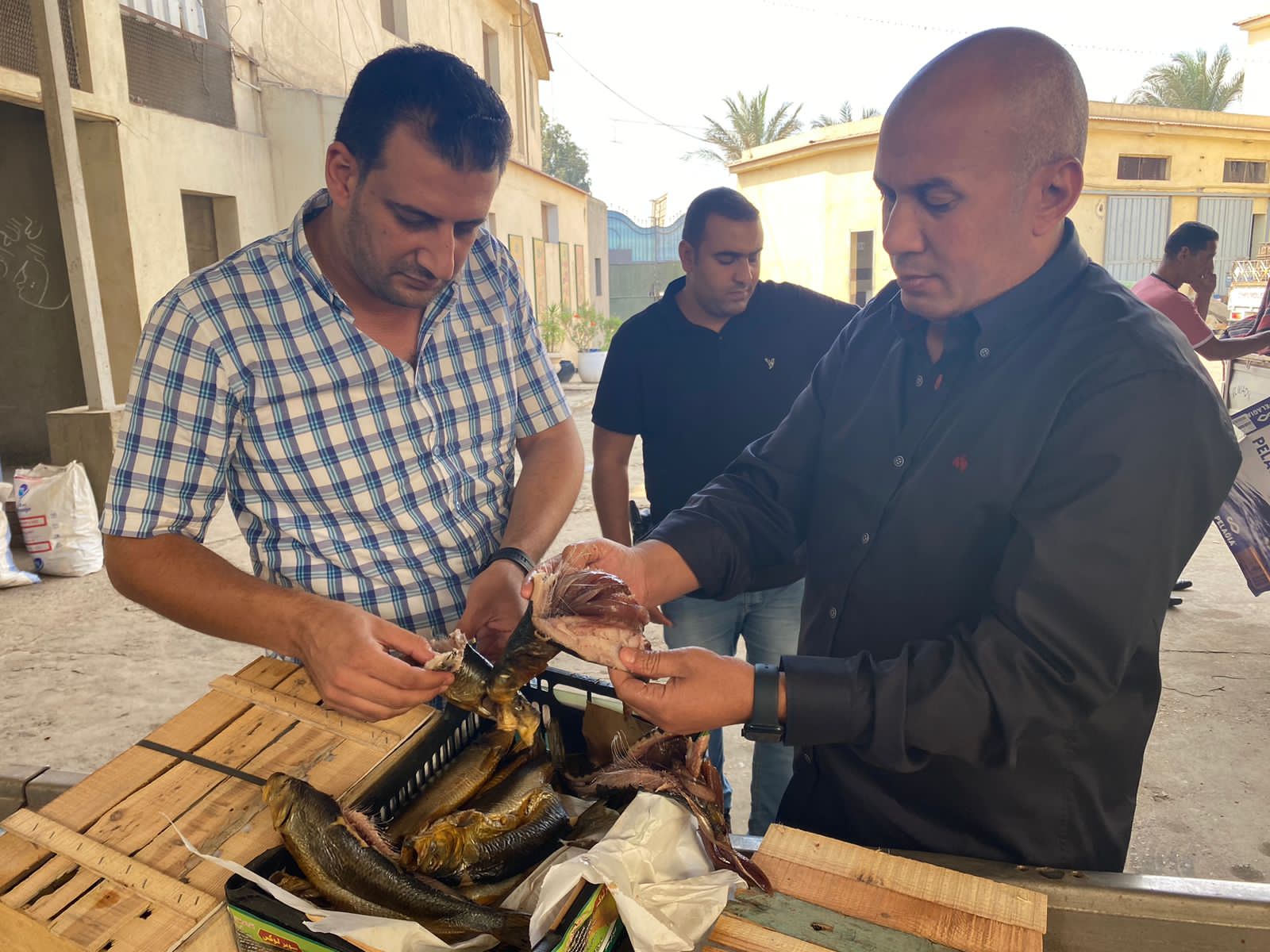 بيطري الغربية تلاحق المخالفين بعرض أغذيه ذات أصل حيوانى مخالفة، وتحرر المحاضر اللازمة لهم.