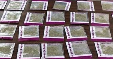 القبص على عاطل بحوزتة نصف كيلو فودو مخدر بالقبيوبية