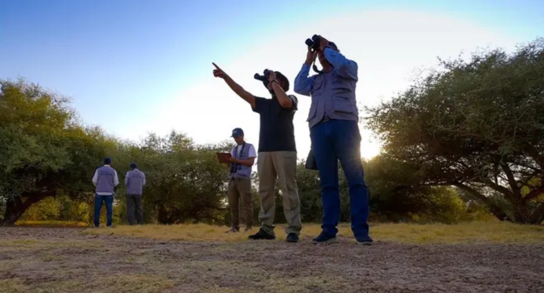 هيئة تطوير محمية الملك عبدالعزيز الملكية ترصد تنوعها الأحيائي عبر أفضل البرامج المتخصصة