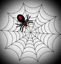 بيت العنكبوت لماذا أوهن البيوت