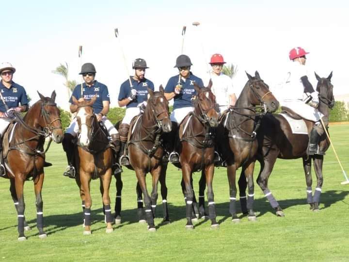 عبد المقصود يفتتح مهرجان البولو الأول فى مصر بمدينة مرسي علم