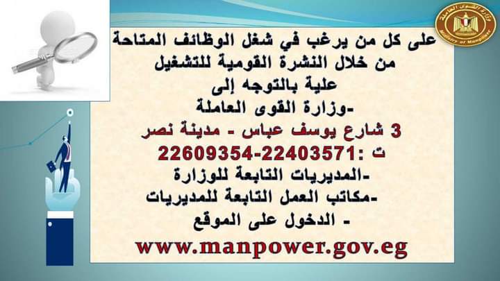 في نشرة التوظيف النصف شهرية.. "القوى العاملة": تعلن عن فرص عمل جديدة .. وتوجيهات " للمديريات" بمتابعة استلام "الوظائف"