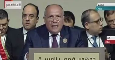 سامح شكرى بقمة بيروت: مستعدون لنقل خبرة مصر فى مجال الكهرباء للدول العربية