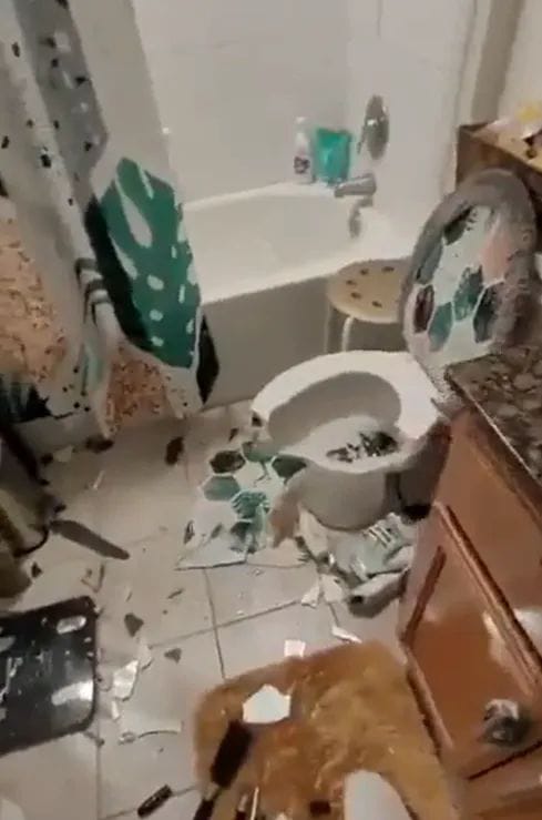 بالصور: طفل يحطم أثاث المنزل بعد أن سحبت والدته هاتفه!