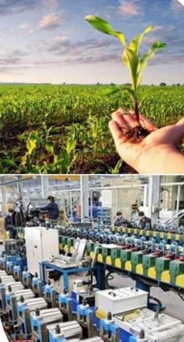 ملامح المبادرة الجديدة لدعم القطاعات الإنتاجية (الصناعة والزراعة)