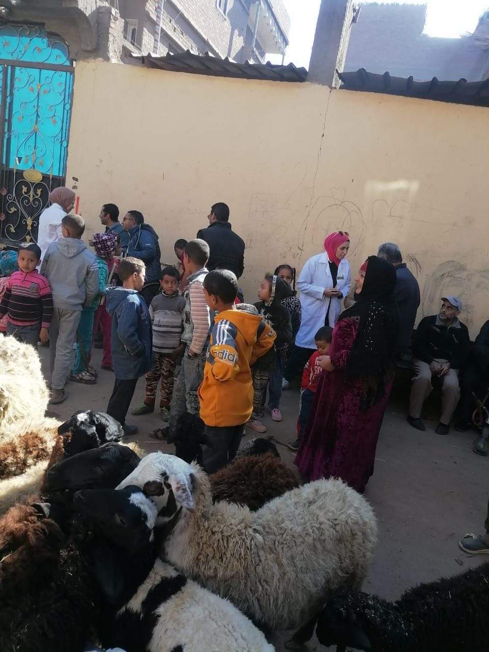 ضمن مبادرة حياة كريمة...قافلة بيطرية تنطلق لقرية البربا 