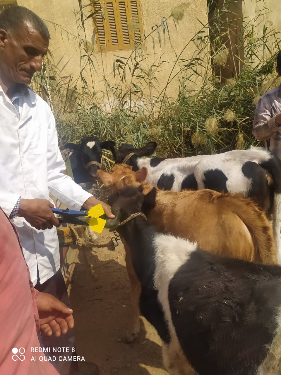 بيطري الغربية ينفذ عدة قوافل طبية بالقرى الأكثر إحتياجا بالمحافظة