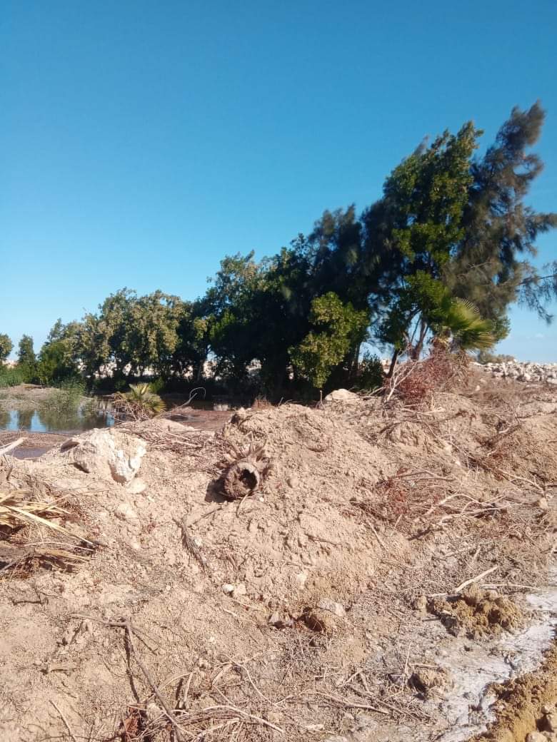 لجنة رصد واستطلاع بالغابة الشجرية ومحطة المعالجة الثلاثية بمدينة الغردقة