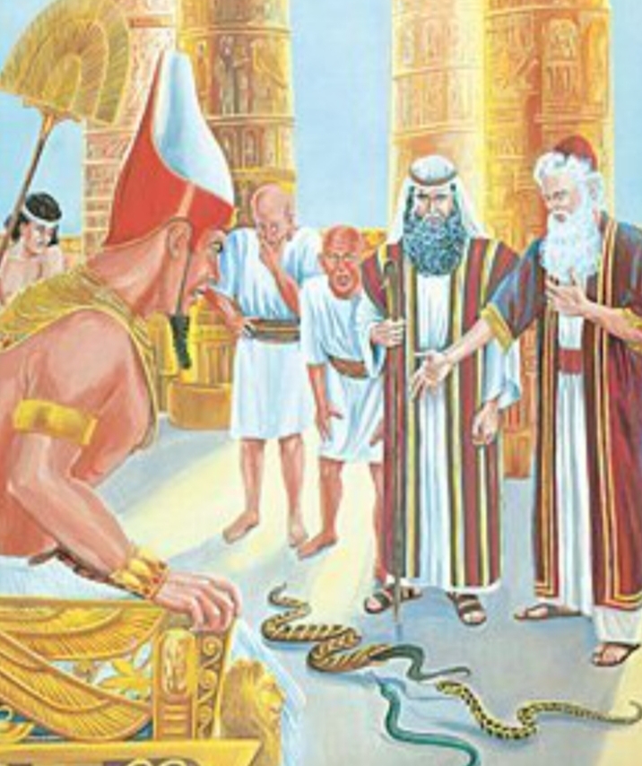 سحرة فرعون أصل ١٧ أسم مدينة مصرية