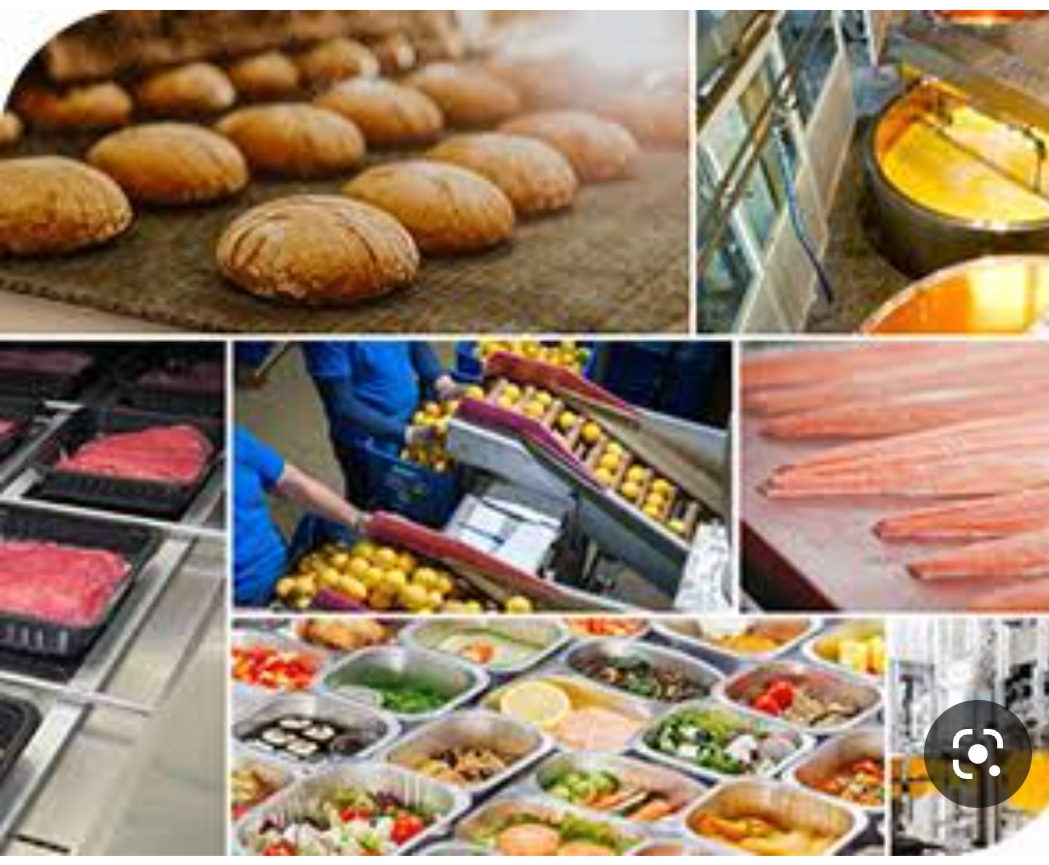 غرفة الصناعات الغذائية تشارك في افتتاح معرض ومؤتمر «فوود أفريكا 2022»